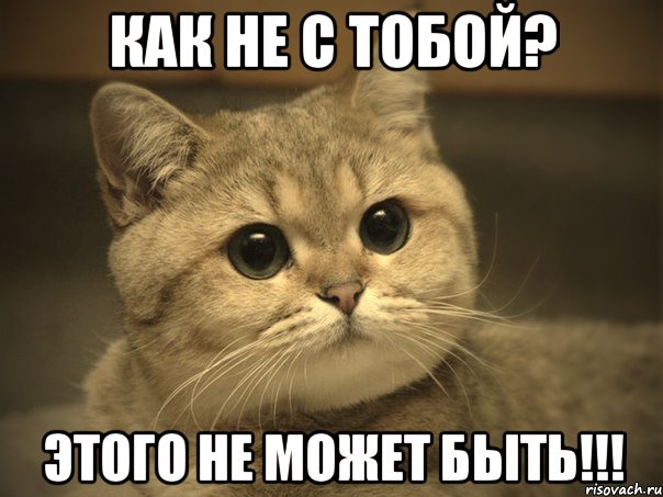 Как не с тобой? Этого не может быть!!!, Мем Пидрила ебаная котик