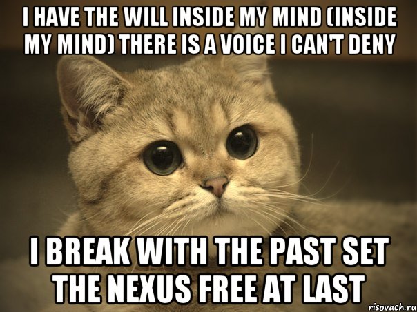 I have the will inside my mind (Inside my mind) There is a voice I can't deny I break with the past Set the nexus free at last, Мем Пидрила ебаная котик