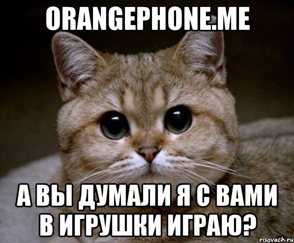 Orangephone.me А вы думали я с вами в игрушки играю?, Мем Пидрила Ебаная