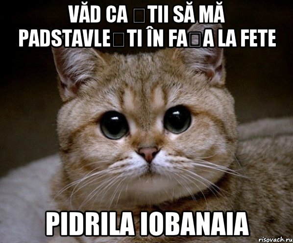 Văd ca știi să mă padstavlești în fața la fete PIDRILA IOBANAIA, Мем Пидрила Ебаная