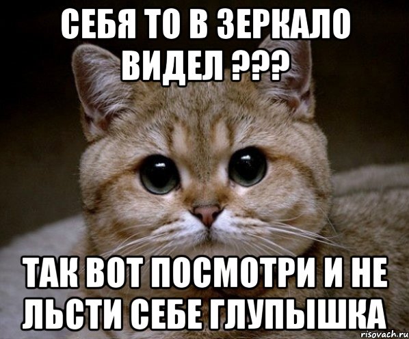 Себя то в зеркало видел ??? Так вот посмотри и не льсти себе глупышка, Мем Пидрила Ебаная