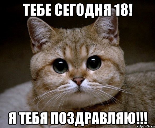 Тебе сегодня 18! Я ТЕБЯ ПОЗДРАВЛЯЮ!!!, Мем Пидрила Ебаная