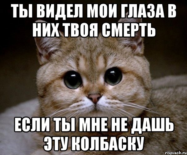 Ты видел мои глаза В них твоя смерть Если ты мне не дашь эту колбаску, Мем Пидрила Ебаная