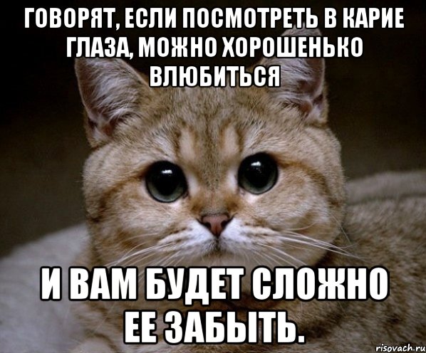 Говорят, если посмотреть в карие глаза, можно хорошенько влюбиться И вам будет сложно ее забыть., Мем Пидрила Ебаная