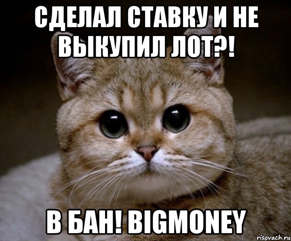 сделал ставку и не выкупил лот?! В БАН! BigMONEY, Мем Пидрила Ебаная