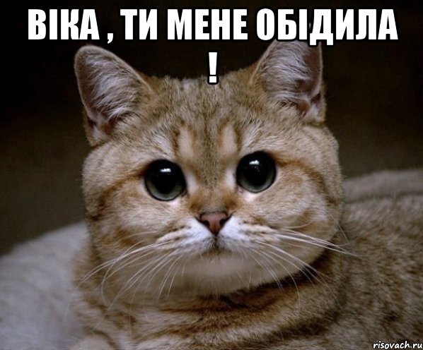 Віка , ти мене обідила ! , Мем Пидрила Ебаная