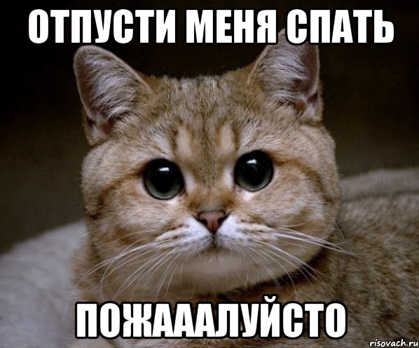 Отпусти меня спать Пожааалуйсто, Мем Пидрила Ебаная