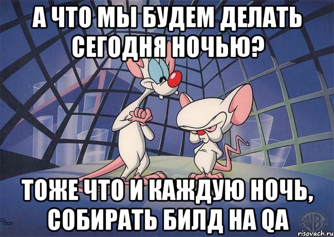 А что мы будем делать сегодня ночью? Тоже что и каждую ночь, собирать билд на QA, Мем ПИНКИ И БРЕЙН