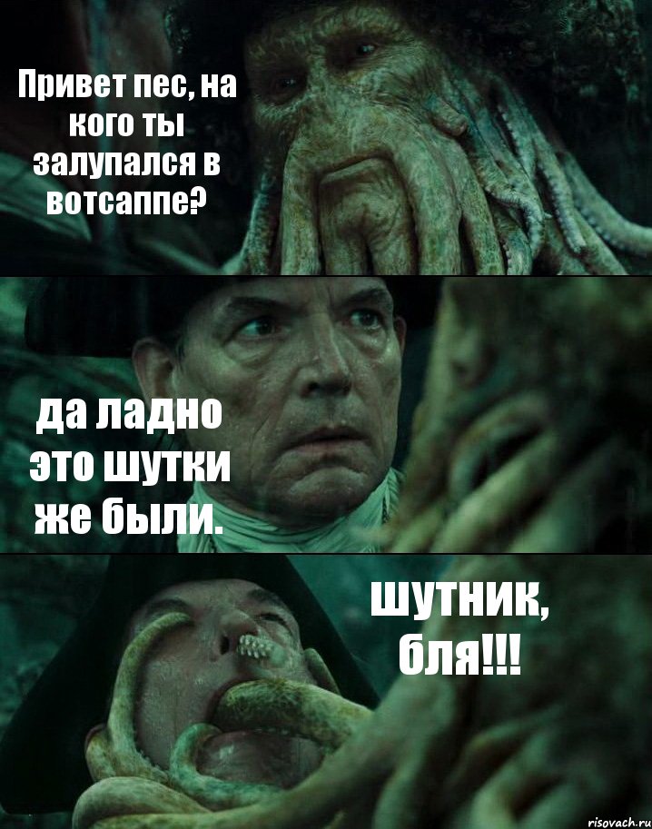 Привет пес, на кого ты залупался в вотсаппе? да ладно это шутки же были. шутник, бля!!!, Комикс Пираты Карибского моря