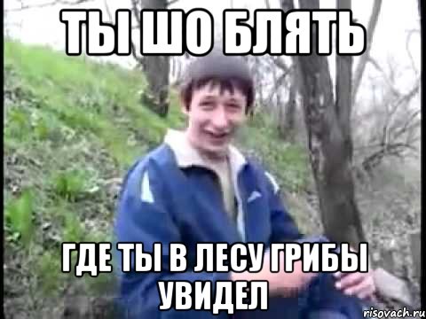 ТЫ ШО БЛЯТЬ ГДЕ ТЫ В ЛЕСУ ГРИБЫ УВИДЕЛ