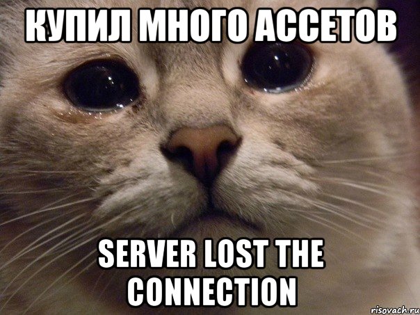 Купил много ассетов Server lost the connection, Мем   В мире грустит один котик