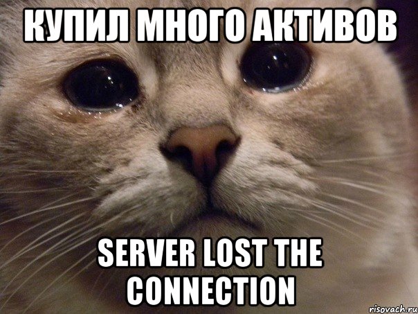 Купил много активов Server lost the connection, Мем   В мире грустит один котик