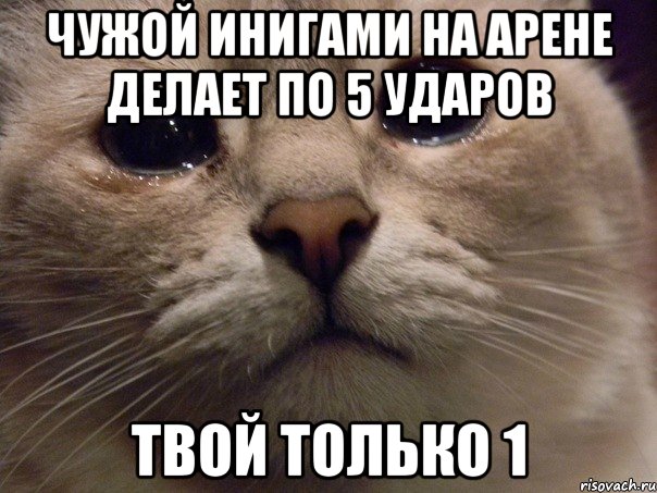 чужой инигами на арене делает по 5 ударов твой только 1, Мем   В мире грустит один котик