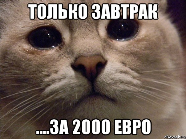 только завтрак ....за 2000 евро