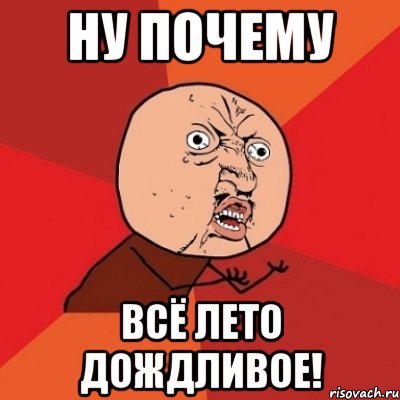 Ну почему всё лето дождливое!, Мем Почему