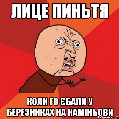 Лице пиньтя коли го єбали у березниках на каміньови, Мем Почему