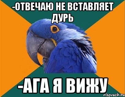 -Отвечаю не вставляет дурь -ага я вижу, Мем Попугай параноик