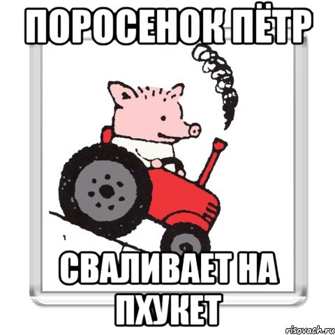 ПОРОСЕНОК ПЁТР СВАЛИВАЕТ НА ПХУКЕТ, Мем ПОРОСЕНОК ПЕТР