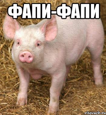 Фапи-фапи , Мем Поросёнок