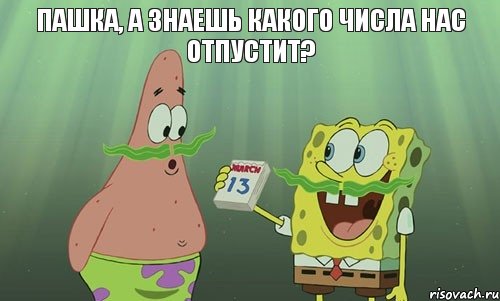 Пашка, а знаешь какого числа нас отпустит? , Мем просрали 8 марта