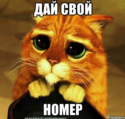 Дай свой Номер