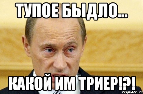 Тупое быдло... какой им Триер!?!, Мем путин