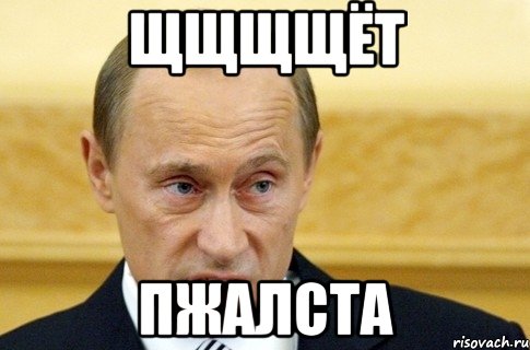 Щщщщёт пжалста, Мем путин