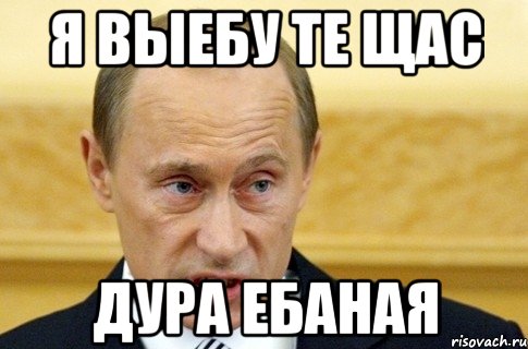 я выебу те Щас дура ебаная, Мем путин