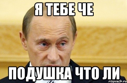 Я тебе че Подушка что ли, Мем путин