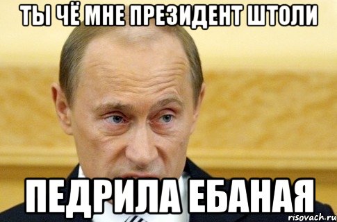 ты чё мне президент штоли педрила ебаная, Мем путин