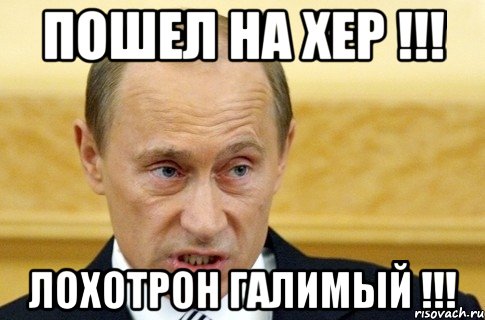 Пошел на хер !!! Лохотрон галимый !!!, Мем путин