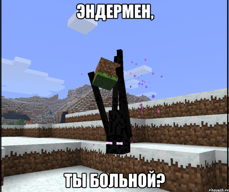 Эндермен, ты больной?
