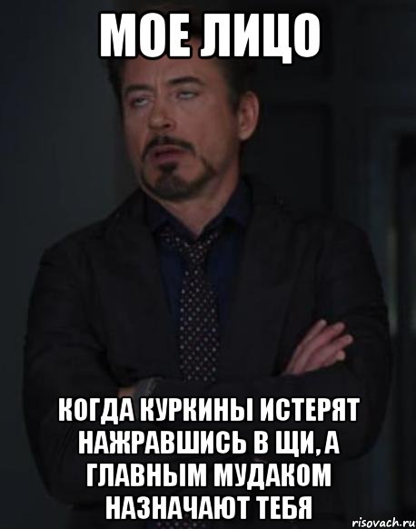 Мое лицо Когда Куркины истерят нажравшись в щи, а главным мудаком назначают тебя, Мем твое выражение лица