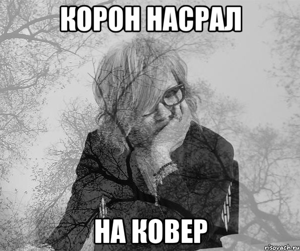 Корон насрал на ковер
