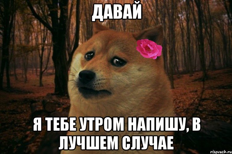 Давай Я тебе утром напишу, в лучшем случае, Мем  SAD DOGE GIRL