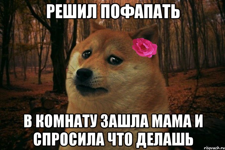 решил пофапать в комнату зашла мама и спросила что делашь, Мем  SAD DOGE GIRL