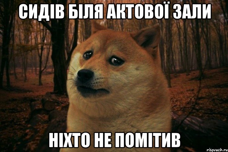 Сидів біля актової зали ніхто не помітив, Мем SAD DOGE