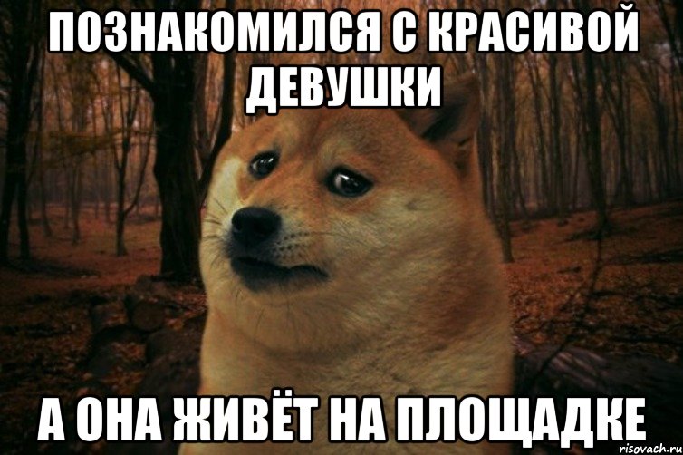 Познакомился с красивой девушки А она живёт на площадке, Мем SAD DOGE