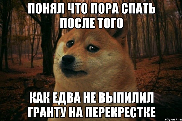 понял что пора спать после того как едва не выпилил гранту на перекрестке, Мем SAD DOGE