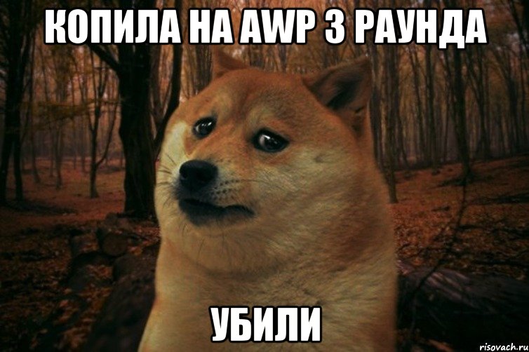 Копила на awp 3 раунда Убили, Мем SAD DOGE