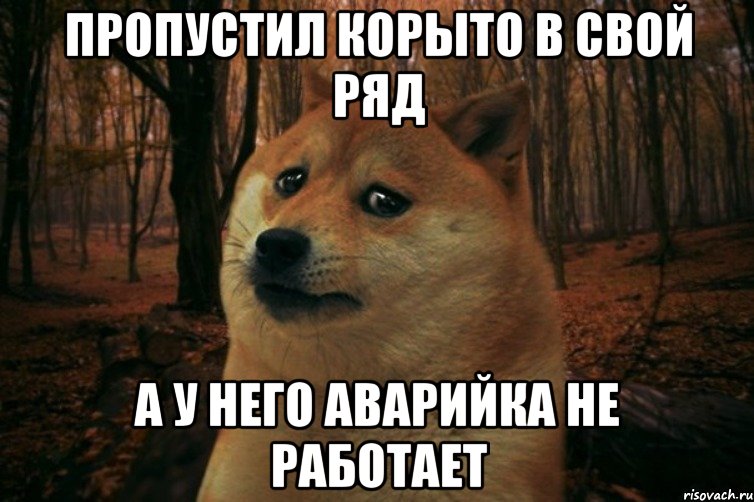 Пропустил корыто в свой ряд А у него аварийка не работает, Мем SAD DOGE