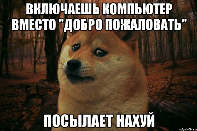 Включаешь компьютер вместо "добро пожаловать" Посылает нахуй, Мем SAD DOGE