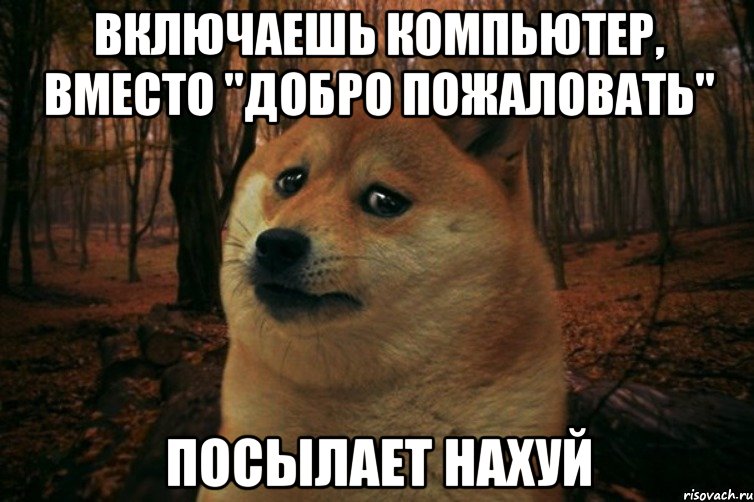 Включаешь компьютер, вместо "добро пожаловать" Посылает нахуй, Мем SAD DOGE