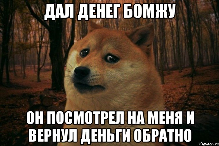 дал денег бомжу он посмотрел на меня и вернул деньги обратно, Мем SAD DOGE