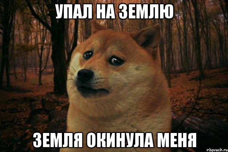 упал на землю земля окинула меня, Мем SAD DOGE