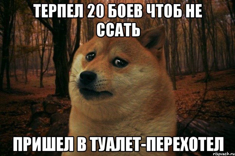 Терпел 20 боев чтоб не ссать Пришел в туалет-перехотел, Мем SAD DOGE