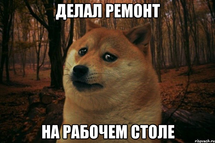 Делал ремонт на рабочем столе, Мем SAD DOGE