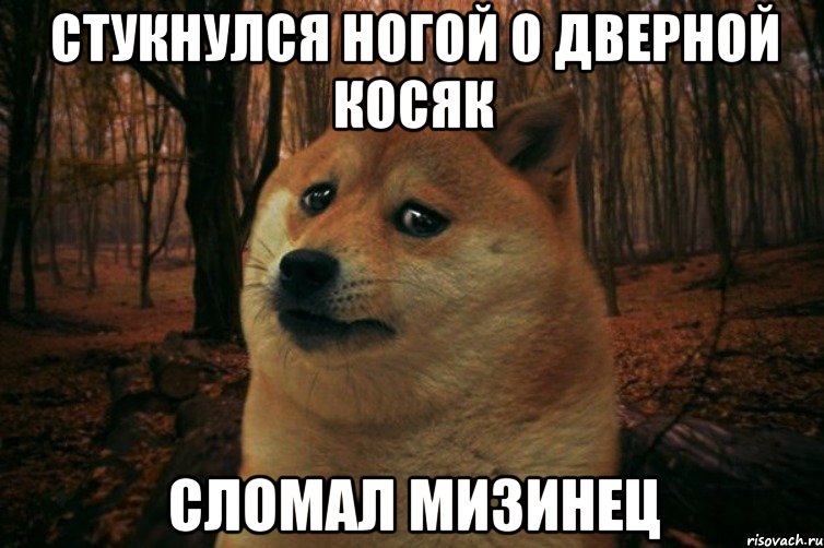 стукнулся ногой о дверной косяк сломал мизинец, Мем SAD DOGE