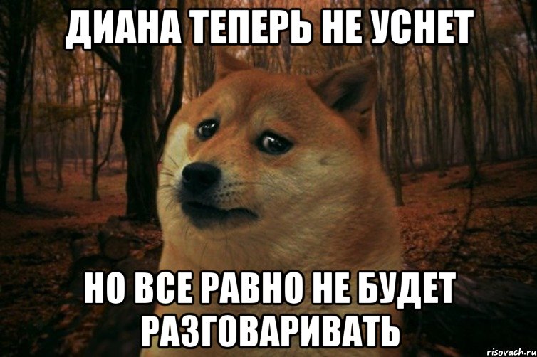 Диана теперь не уснет Но все равно не будет разговаривать, Мем SAD DOGE