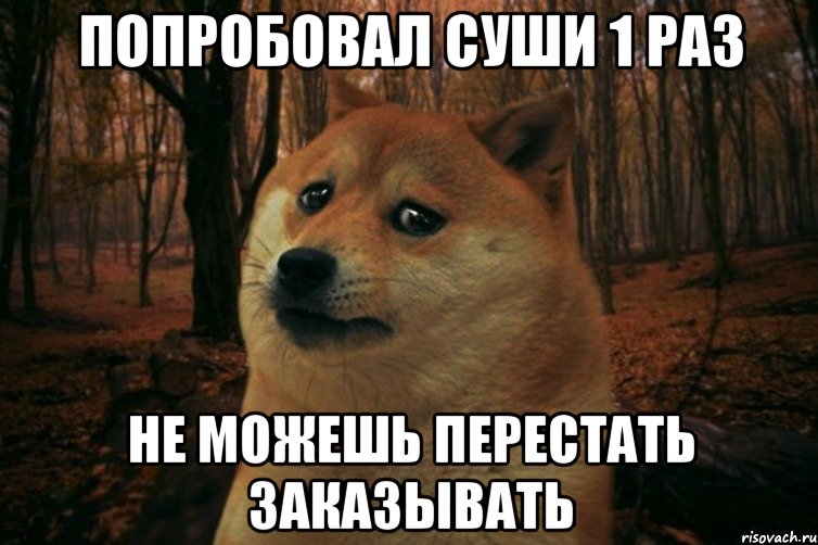 Попробовал суши 1 раз Не можешь перестать заказывать, Мем SAD DOGE